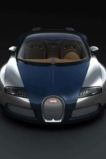 Bugatti Veyron Coupe in Grey used in Paris for € 1,700,000.-