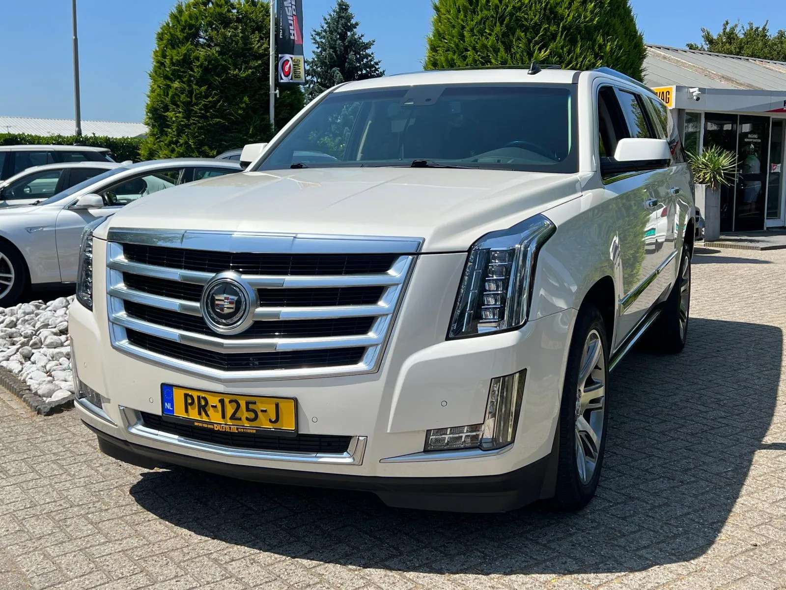 Cadillac Escalade Off-Road/Pick-up in White used in RUINERWOLD for € 59,950.-