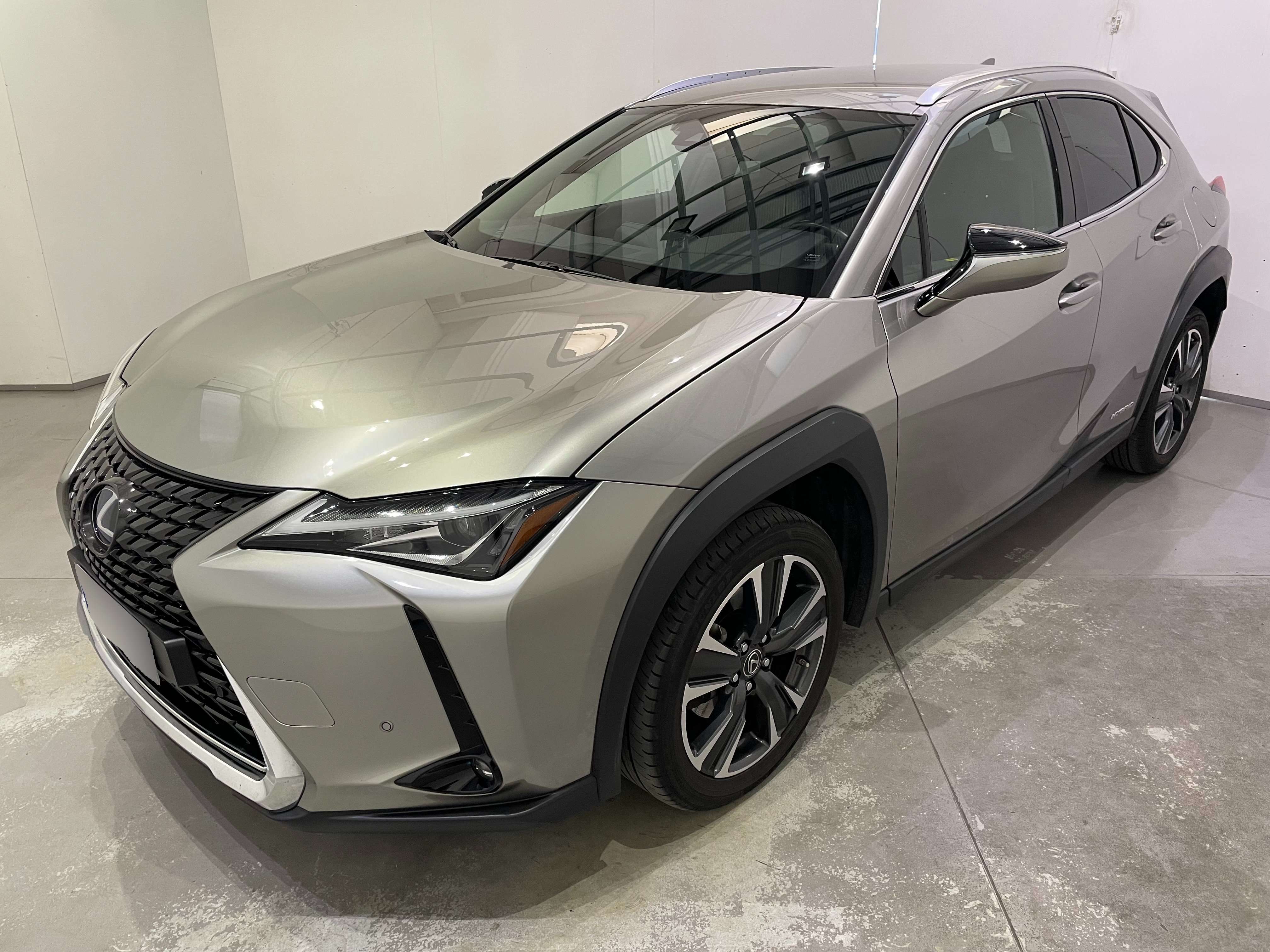 Lexus UX 200 Off-Road/Pick-up in Grey used in Cologno Monzese - Mi for € 25,900.-